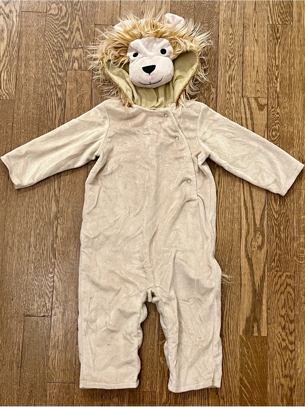 Pottery Barn Kids Baby Lion Costume - Size 12-18 Months